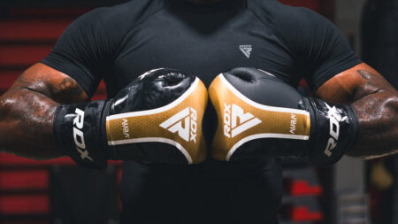 Guide to Combat Sports Striking, Grappling and Mixed Martial Arts