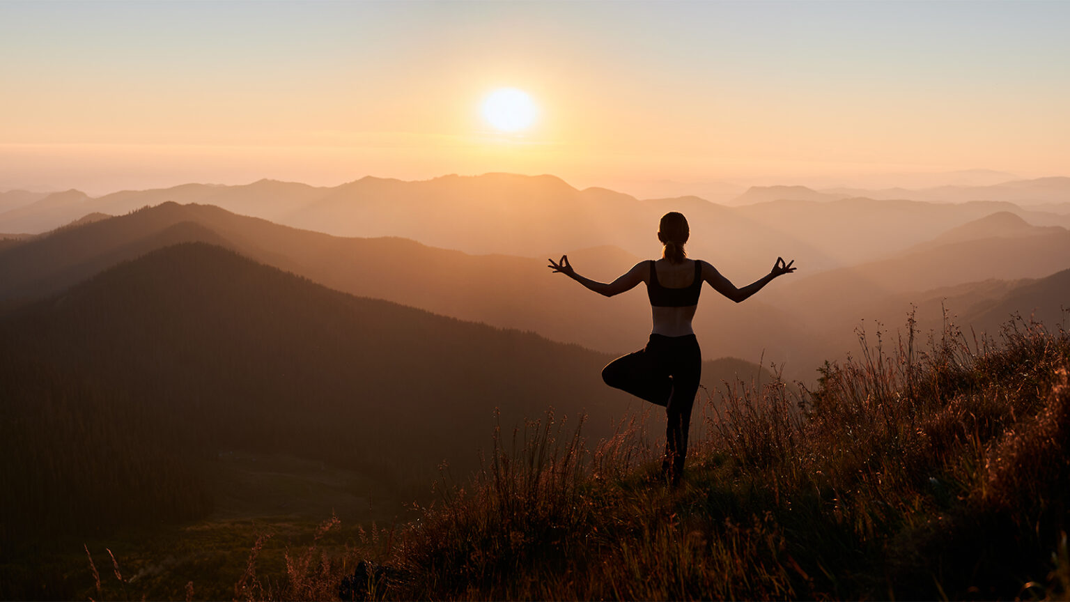 Ancient Movements Modern Wellness