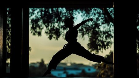 How to Set Up and Throw a Spinning Back Kick? How To Set Up A Spinning Back Kick