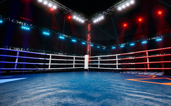 Strategy and Technique in the Sweet Science