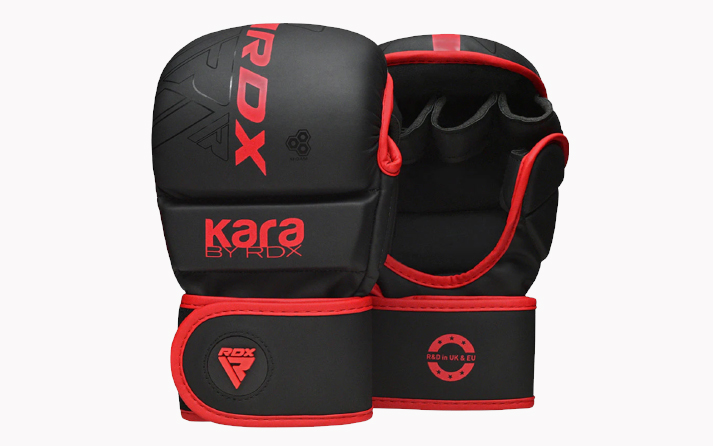 Which Should You Choose